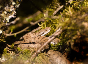 école du jardin planétaire